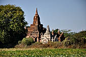 The cluster of red brick temples, named Khay-min-gha on the map on the North plain of Bagan. Myanmar. 